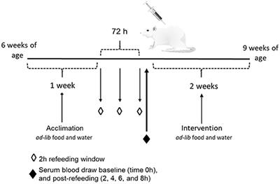 RNA Sequencing Reveals Key Metabolic Pathways Are Modified by Short-Term Whole Egg Consumption